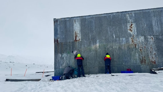 OTL28-25, Day 8, 8a27847a-6b53-4687-9248-e61b0d259206 © Unknown photographer - Oceanwide Expeditions.jpg