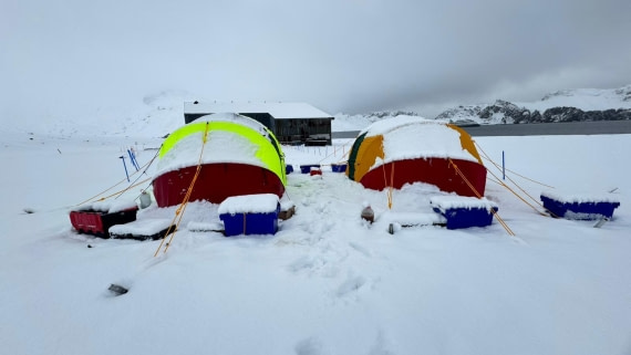 OTL28-25, Day 8, d95a3cd5-4082-4213-8567-10452afae048 © Unknown photographer - Oceanwide Expeditions.jpg