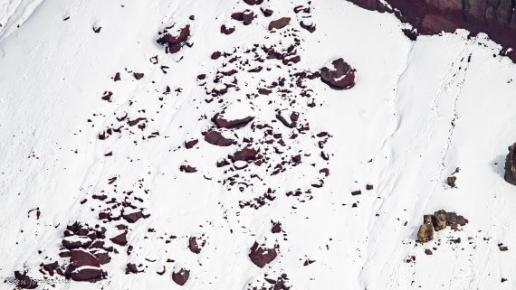 OTL28-25, Day 8, IMG_7175 © Koen Jongerling - Oceanwide Expeditions.jpg