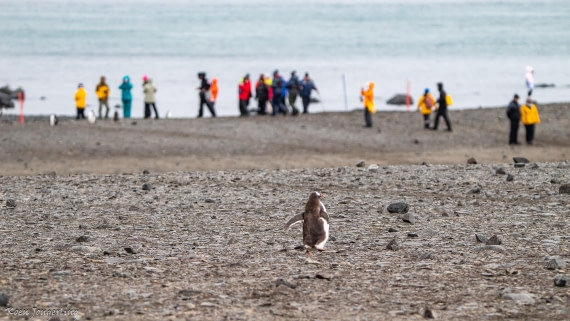 OTL28-25, Day 8, IMG_7239 © Koen Jongerling - Oceanwide Expeditions.jpg