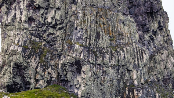 OTL28-25, Day 8, IMG_7243 © Koen Jongerling - Oceanwide Expeditions.jpg