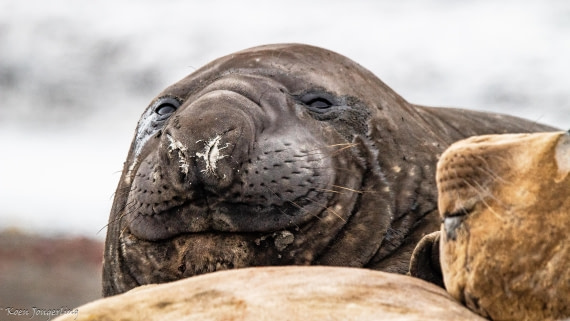 OTL28-25, Day 8, IMG_7377 © Koen Jongerling - Oceanwide Expeditions.jpg