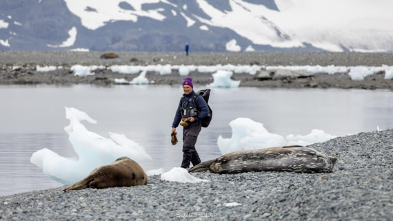 PLA27-25, Day 16, 31st Jan Yankee Harbour-1 © Susanne Polap - Oceanwide Expeditions.jpg