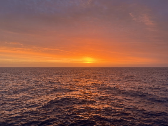 PLA27-25, Day 17, IMG_1129 © Unknown photographer - Oceanwide Expeditions.JPG