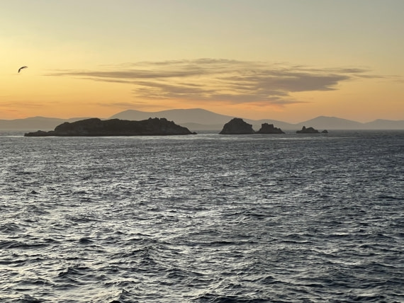 PLA27-25, Day 3, 18 01 25  (1) © Unknown photographer - Oceanwide Expeditions.JPG