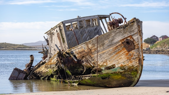 PLA27-25, Day 3, 766A7145 © Susanne Polap - Oceanwide Expeditions.jpg