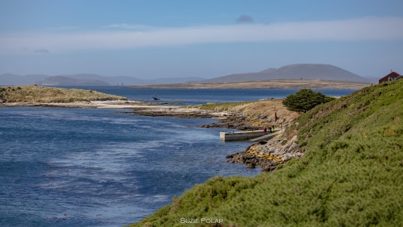 PLA27-25, Day 3, 766A7480 © Susanne Polap - Oceanwide Expeditions.jpg