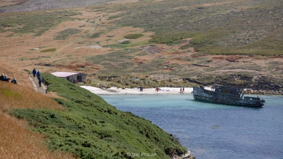 PLA27-25, Day 3, 766A7602 © Susanne Polap - Oceanwide Expeditions.jpg