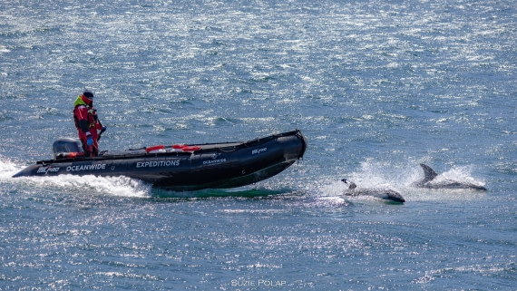 PLA27-25, Day 3, 766A7800 © Susanne Polap - Oceanwide Expeditions.jpg