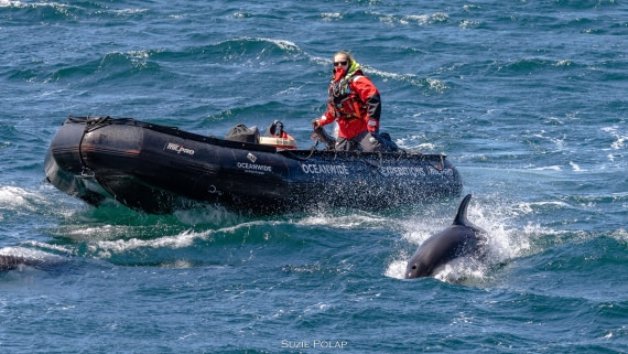 PLA27-25, Day 3, 766A8007 © Susanne Polap - Oceanwide Expeditions.jpg