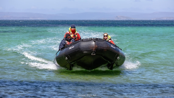 PLA27-25, Day 3, 766A8177 © Susanne Polap - Oceanwide Expeditions.jpg