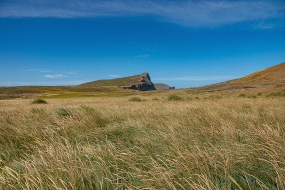 PLA27-25, Day 3, DSC01018 © Tiphanie May - Oceanwide Expeditions.jpg