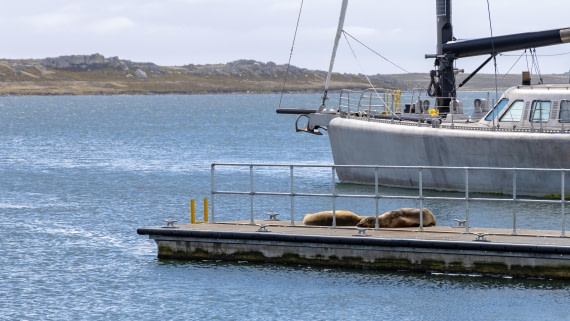 PLA27-25, Day 4, 766A8351 © Susanne Polap - Oceanwide Expeditions.jpg