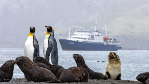 PLA27-25, Day 7, 088A5684 © Martin Anstee - Oceanwide Expeditions.jpg