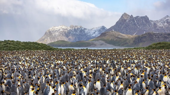 PLA27-25, Day 7, 766A9407 © Susanne Polap - Oceanwide Expeditions.jpg