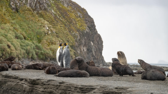 PLA27-25, Day 7, DSC01033 © Tiphanie May - Oceanwide Expeditions.jpg