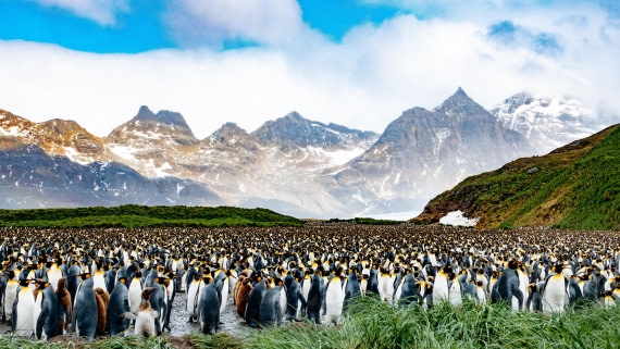 PLA27-25, Day 7, DSC01072 © Tiphanie May - Oceanwide Expeditions.jpg