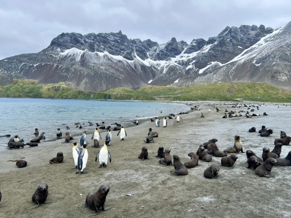 PLA27-25, Day 7, IMG_0714 © Unknown photographer - Oceanwide Expeditions.JPG