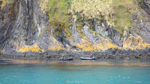 PLA27-25, Day 8, 766A9565 © Susanne Polap - Oceanwide Expeditions.jpg