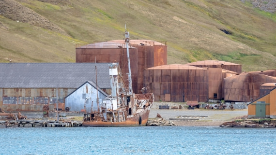 PLA27-25, Day 8, 766A9797 © Susanne Polap - Oceanwide Expeditions.jpg