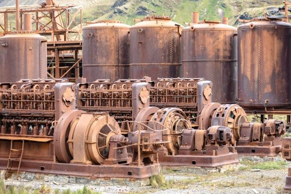 PLA27-25, Day 8, 766A9878 © Susanne Polap - Oceanwide Expeditions.jpg