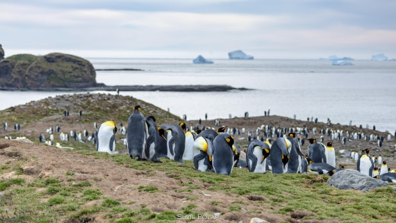 PLA27-25, Day 9, 766A0019 © Susanne Polap - Oceanwide Expeditions.jpg