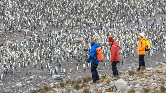 PLA27-25, Day 9, 766A0043 © Susanne Polap - Oceanwide Expeditions.jpg