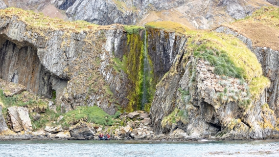 PLA27-25, Day 9, 766A0075 © Susanne Polap - Oceanwide Expeditions.jpg