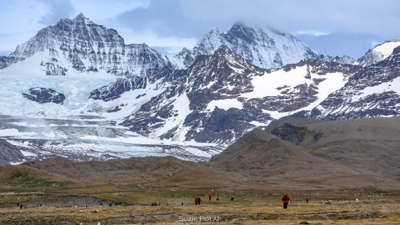 PLA27-25, Day 9, 766A9945 © Susanne Polap - Oceanwide Expeditions.jpg