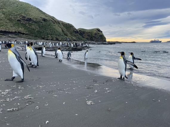 PLA27-25, Day 9, IMG_1371 © Unknown photographer - Oceanwide Expeditions.JPG