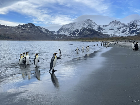 PLA27-25, Day 9, IMG_1405 © Unknown photographer - Oceanwide Expeditions.JPG