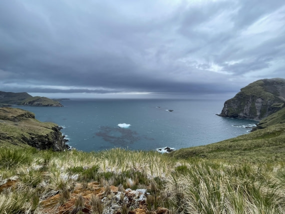 PLA27-25, Day 9, IMG_1702 © Unknown photographer - Oceanwide Expeditions.JPG