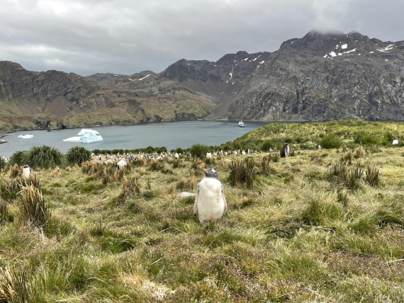 PLA27-25, Day 9, IMG_1740 © Unknown photographer - Oceanwide Expeditions.JPG