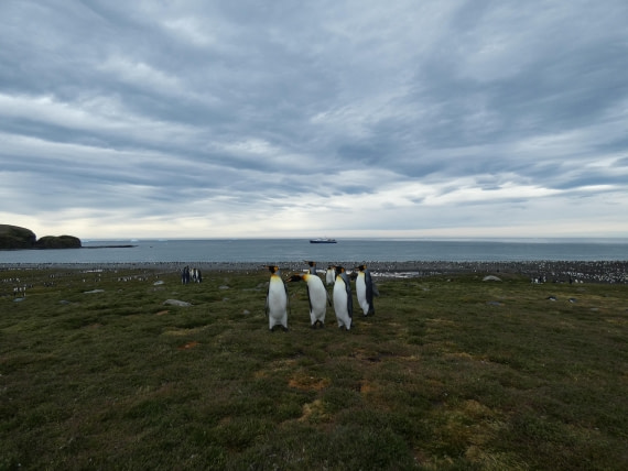 PLA27-25, Day 9, P1170675 © Unknown photographer - Oceanwide Expeditions.JPG