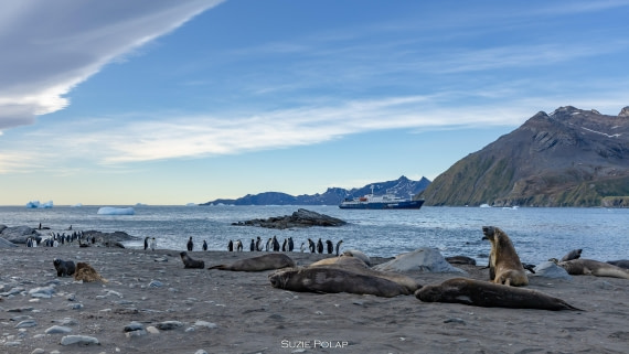 PLA27-25, Day 10, 766A0175 © Susanne Polap - Oceanwide Expeditions.jpg