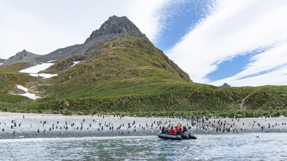 PLA27-25, Day 10, 766A0360 © Susanne Polap - Oceanwide Expeditions.jpg