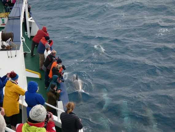 PLA27-25, Day 10, P1170860 © Unknown photographer - Oceanwide Expeditions.JPG