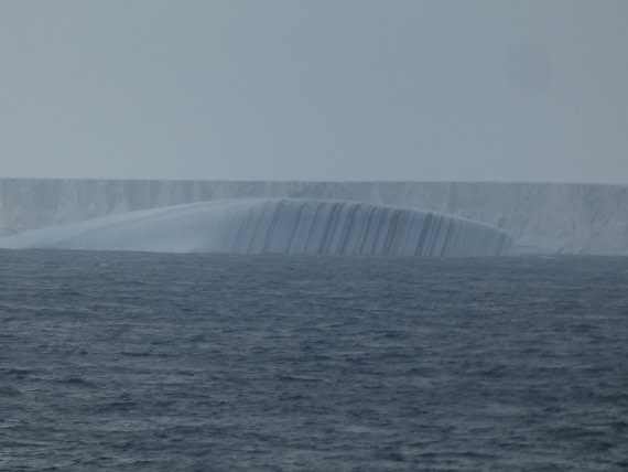 PLA27-25, Day 11, P1170885 © Unknown photographer - Oceanwide Expeditions.JPG