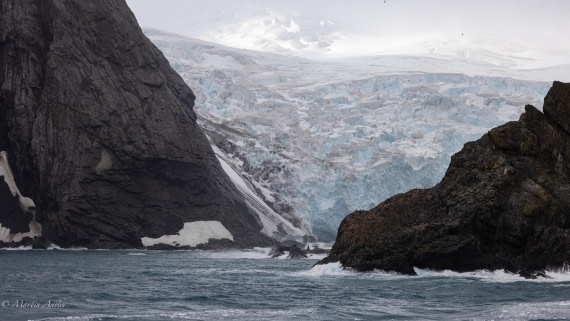 PLA27-25, Day 13, 088A6670 © Martin Anstee - Oceanwide Expeditions.jpg