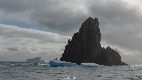 PLA27-25, Day 13, 766A0588 © Susanne Polap - Oceanwide Expeditions.jpg