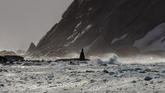 PLA27-25, Day 13, 766A0645 © Susanne Polap - Oceanwide Expeditions.jpg