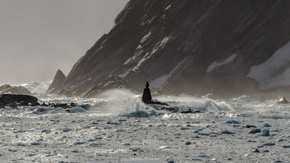 PLA27-25, Day 13, 766A0653 © Susanne Polap - Oceanwide Expeditions.jpg