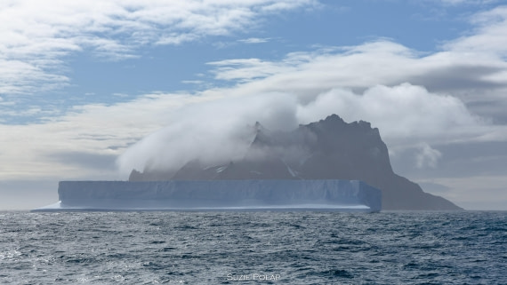 PLA27-25, Day 13, 766A0661 © Susanne Polap - Oceanwide Expeditions.jpg