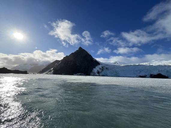 PLA27-25, Day 13, Point Wild © Unknown photographer - Oceanwide Expeditions.JPG