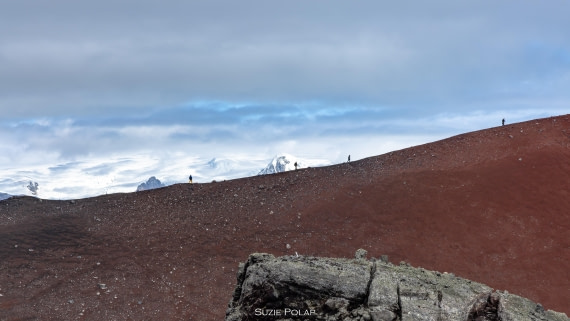 PLA27-25, Day 14, 766A1614 © Susanne Polap - Oceanwide Expeditions.jpg