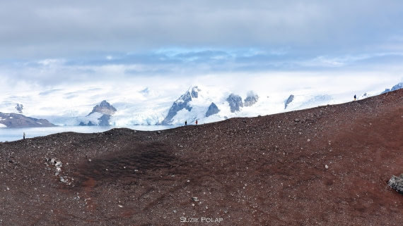 PLA27-25, Day 14, 766A1624 © Susanne Polap - Oceanwide Expeditions.jpg