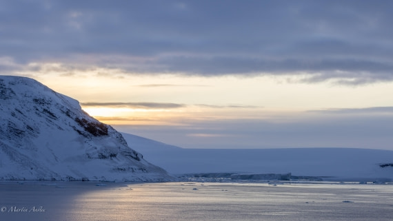 PLA27-25, Day 15, 088A7093 © Martin Anstee - Oceanwide Expeditions.jpg