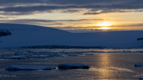 PLA27-25, Day 15, 088A7104 © Martin Anstee - Oceanwide Expeditions.jpg