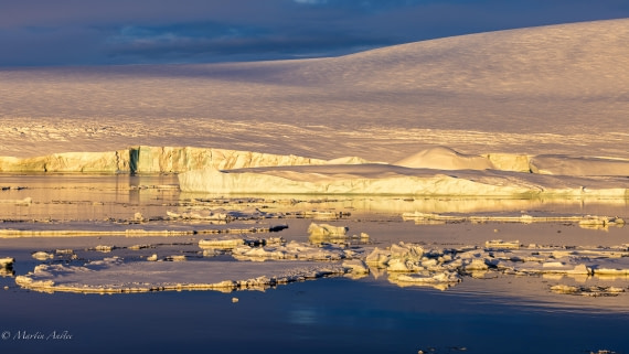 PLA27-25, Day 15, 088A7111 © Martin Anstee - Oceanwide Expeditions.jpg