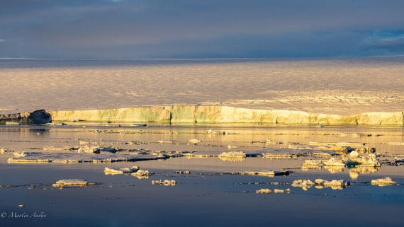 PLA27-25, Day 15, 088A7114 © Martin Anstee - Oceanwide Expeditions.jpg